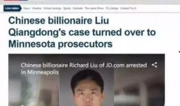 天涯爆料刘强东视频全集,天涯爆料全集深度解析