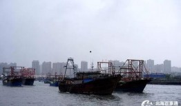 爆料渔船视频播放大全最新,海上捕捞瞬间大盘点