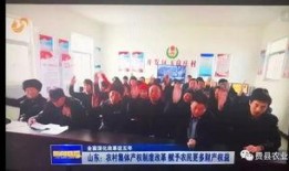 山东卫视 爆料新闻报道,揭秘背后惊人真相！